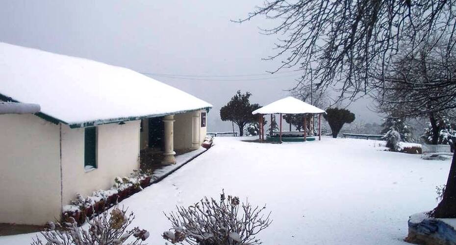 Youreka Pinewood Cliff, Almora 5
